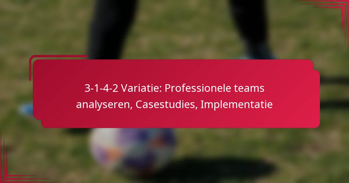 Read more about the article 3-1-4-2 Variatie: Professionele teams analyseren, Casestudies, Implementatie